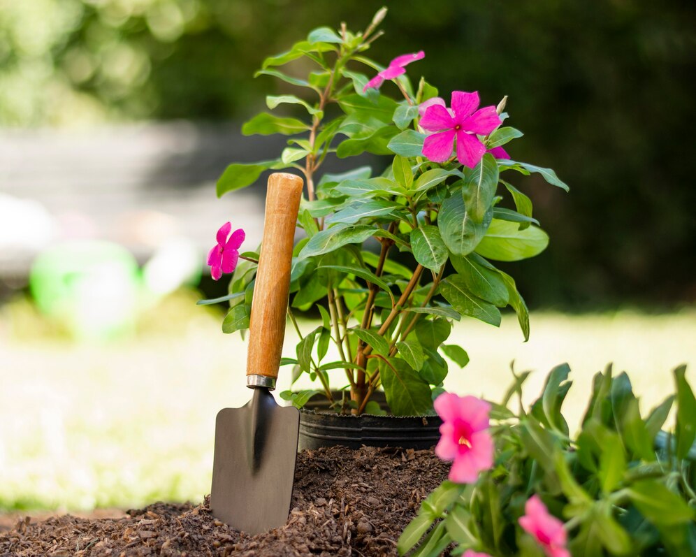 Planting Wellness: Nurturing Our Family Garden Together