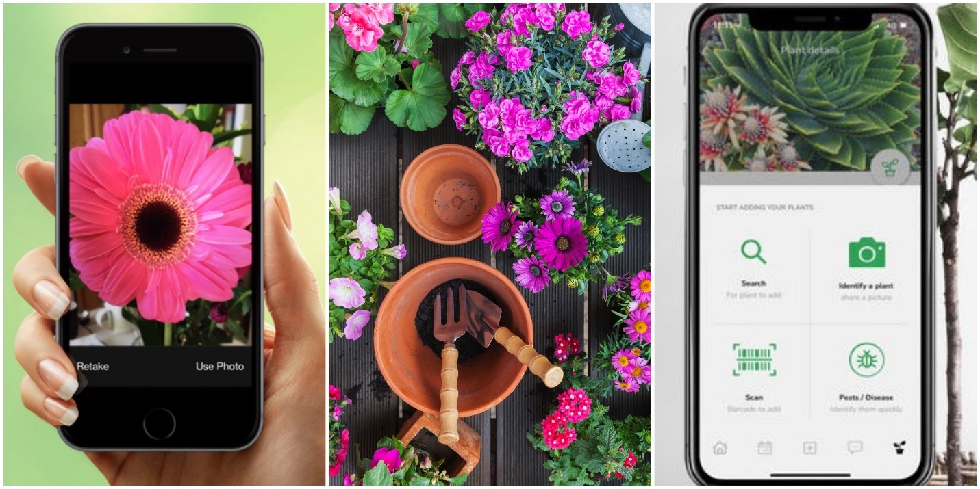 The Best Gardening Apps and Online Resources: A Parent's Guide to Cultivating Knowledge