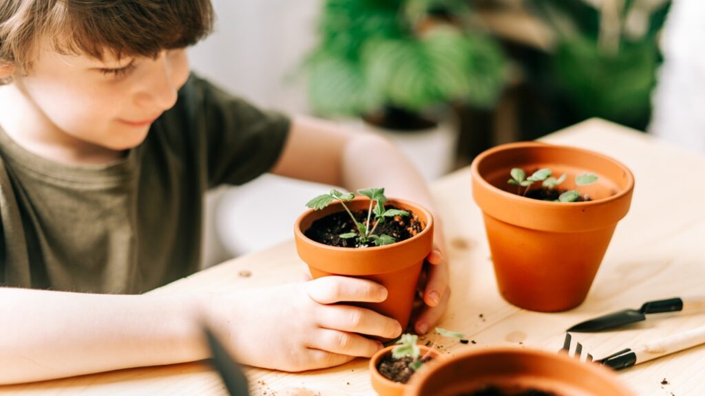 Cultivating Curiosity: How Gardens Spark Kids' Imagination?