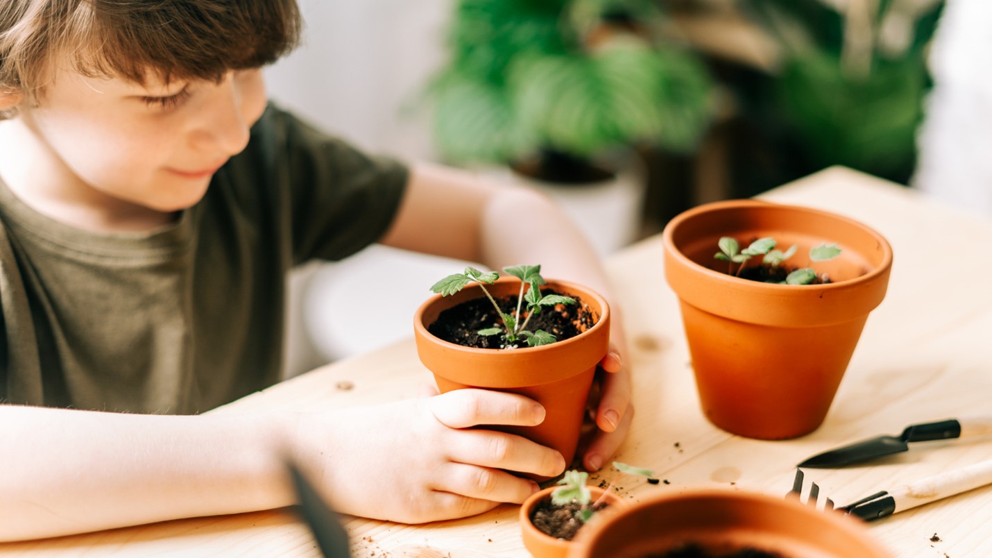 Cultivating Curiosity: How Gardens Spark Kids’ Imagination?