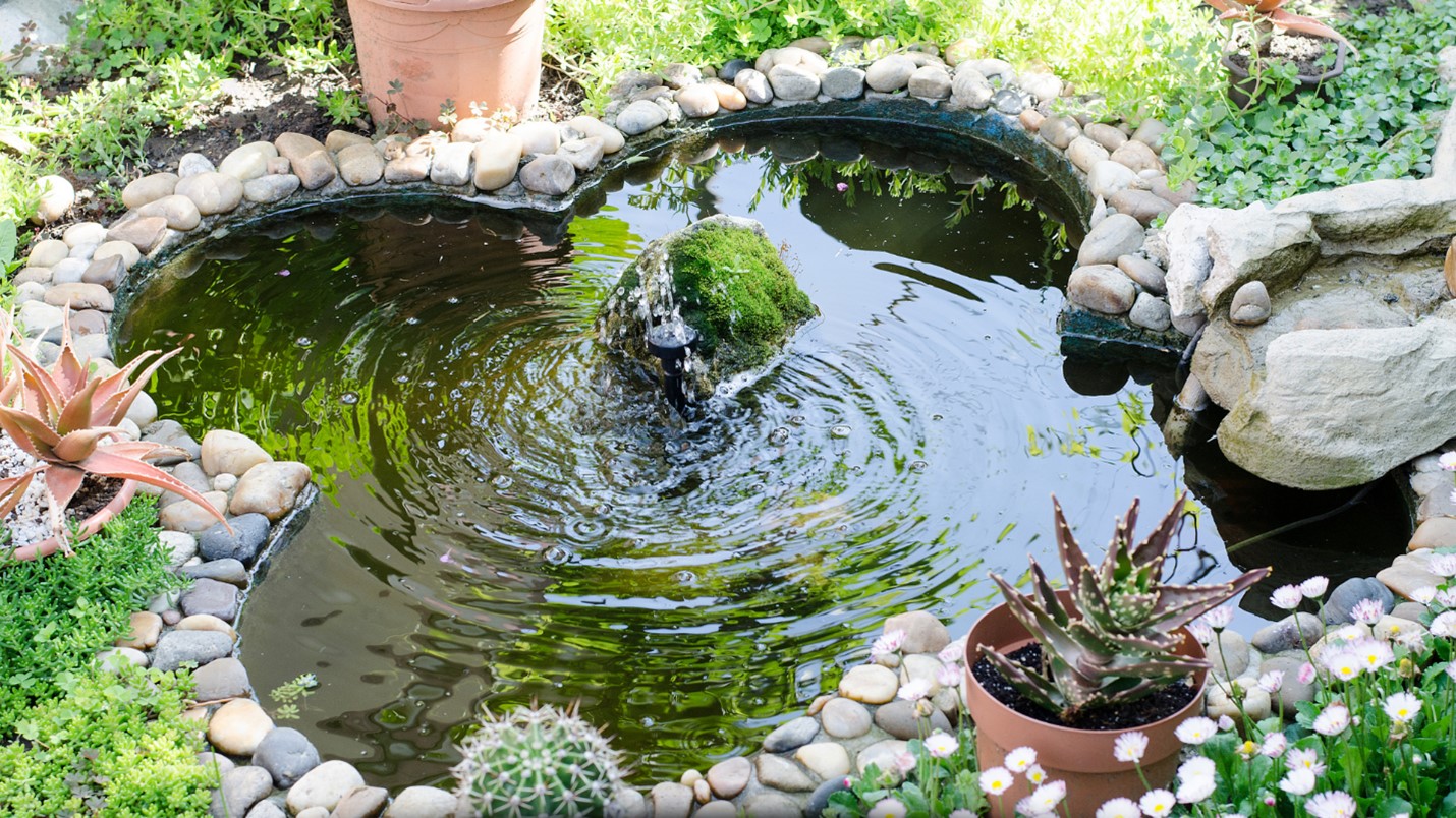 Building a Garden Pond