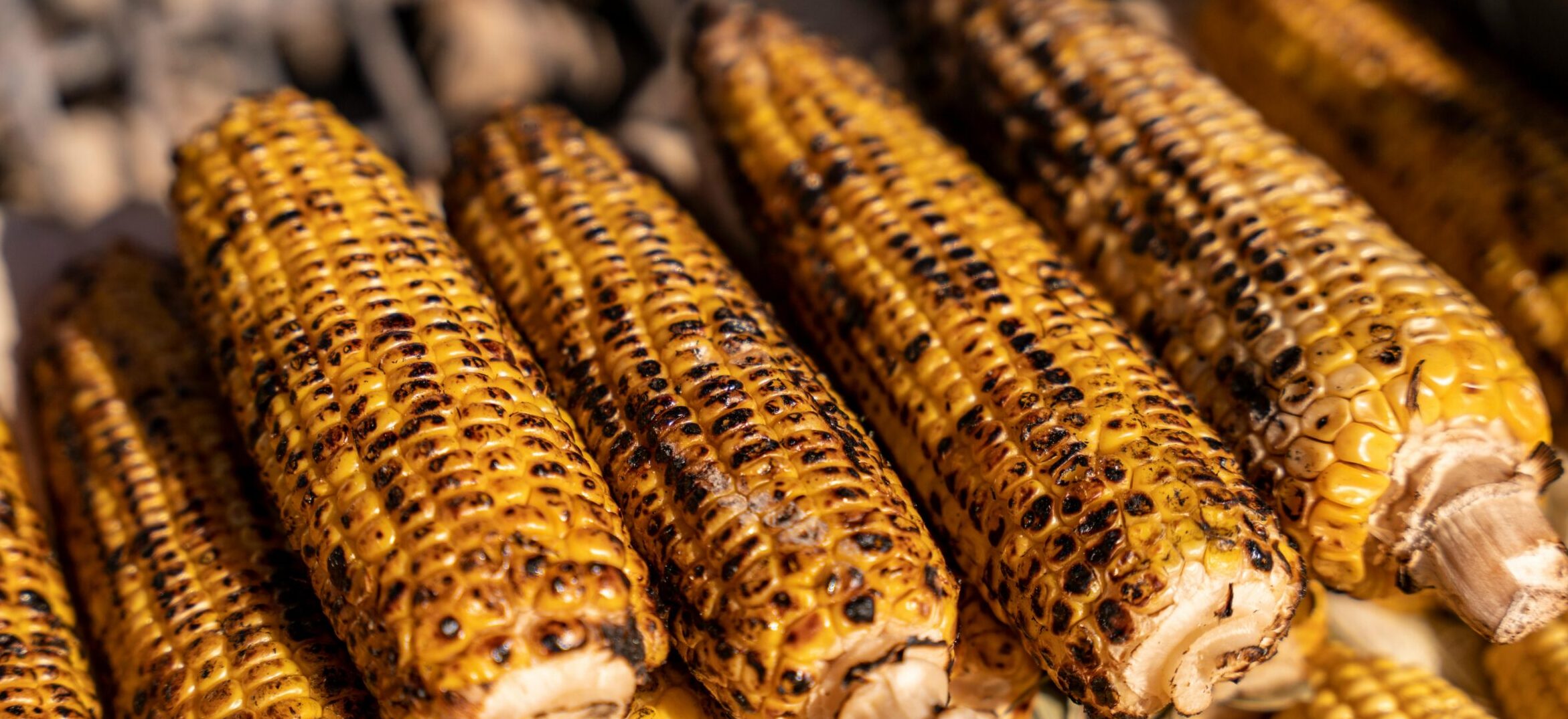 Grilled Corn on the Cob: A Summer Delight for the Family!